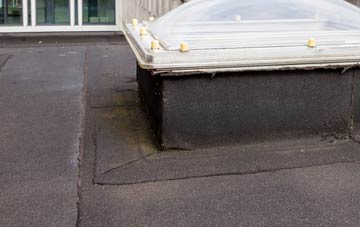 disadvantages of Trantlemore flat roofs