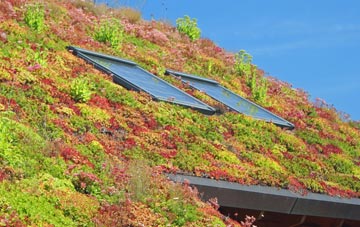 Trantlemore living roof systems