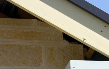 soffit repair Trantlemore