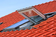 Trantlemore roof window